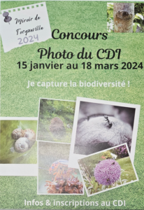 Concours photo CDI 2024