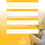 BAC+2 BTS MMV - Métiers de la Mode -Vêtements BAC+1 DTMS - Diplôme de Technicien des Métiers du Spectacle BAC Pro M2C - Métiers de la Couture et de la Confection MMVF - Métiers de la Mode -Vêtement Flou MÉTIERS DE LA MODE, DE LA COUTURE ET DE LA CONFECTION