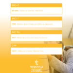 BAC+2 BTS MMV - Métiers de la Mode -Vêtements BAC+1 DTMS - Diplôme de Technicien des Métiers du Spectacle BAC Pro M2C - Métiers de la Couture et de la Confection MMVF - Métiers de la Mode -Vêtement Flou MÉTIERS DE LA MODE, DE LA COUTURE ET DE LA CONFECTION